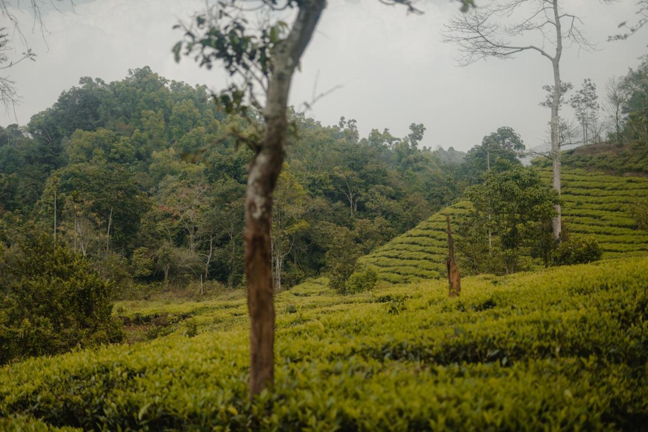 Hotel Abad Brookside Wayanad à Vythiri Extérieur photo