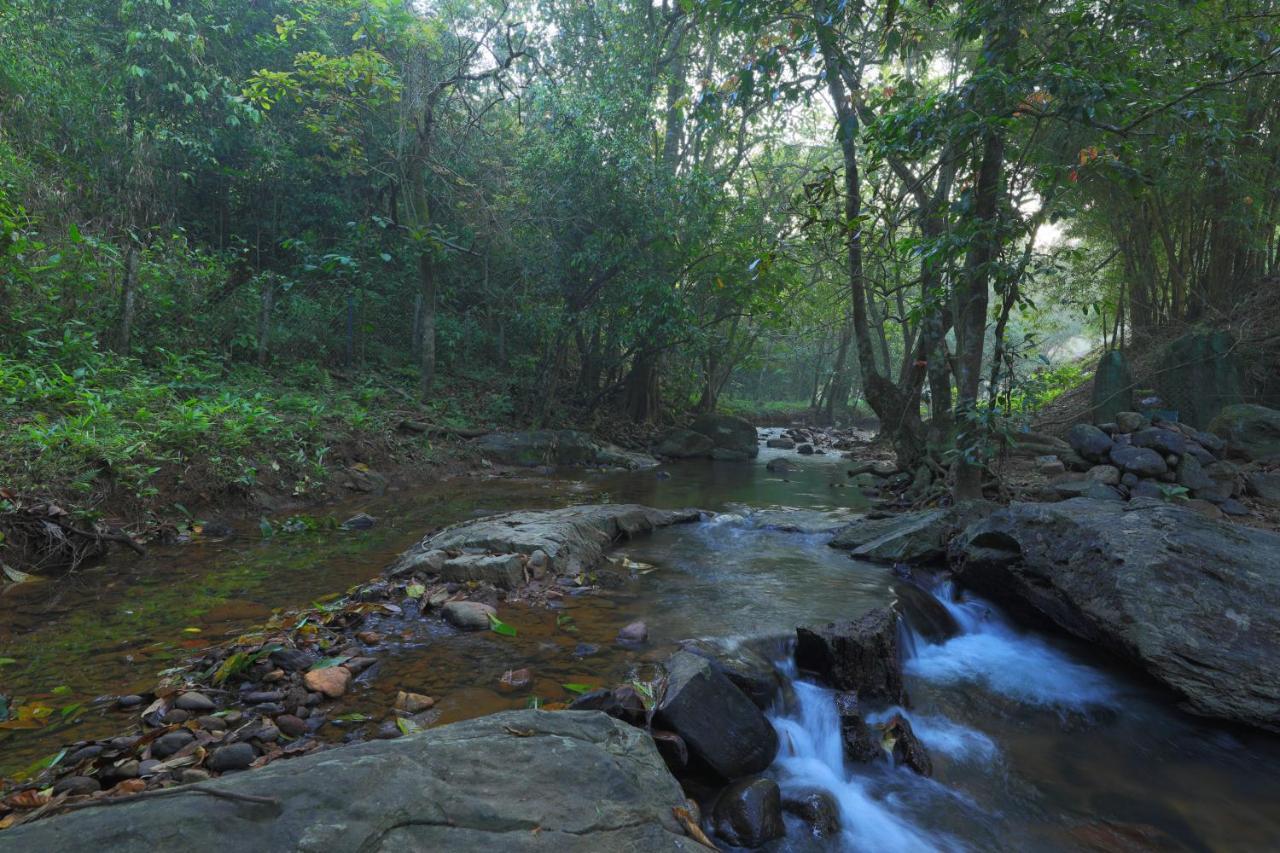 Hotel Abad Brookside Wayanad à Vythiri Extérieur photo